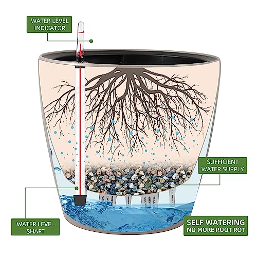 13x12 Self Watering Planter with Wheels