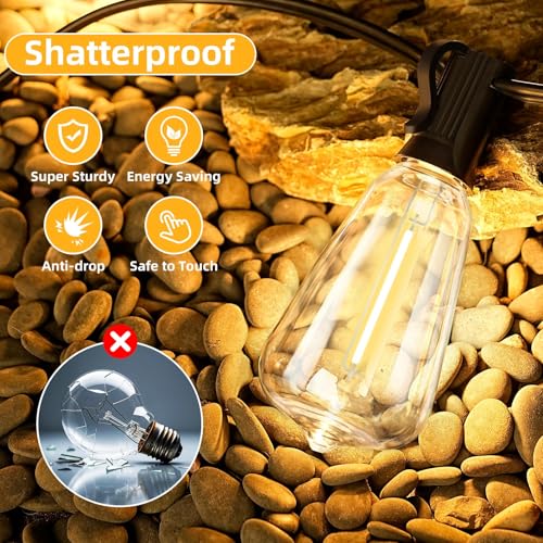 25FT Outdoor String Lights for Patio with 12+1 ST38 LED Bulbs (12 Count)