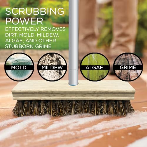 Deck Scrub Brush