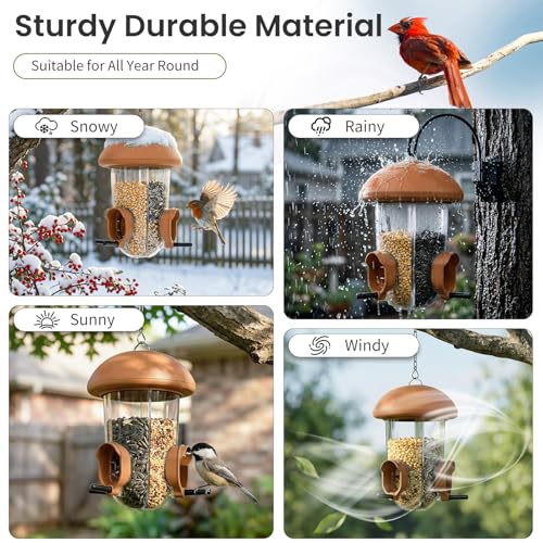 LONA Bird Feeder with 3 Compartments
