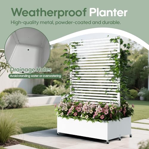 Double Metal Planter Box with Trellis Privacy Screen