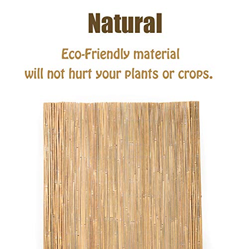 Natural Bamboo Slat Screening (52 Sq Ft)