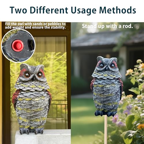 Owl Decoy to Keep Birds Away