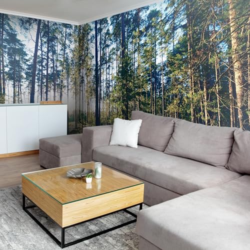 Premium Wall Mural Wallpaper (11 Count)