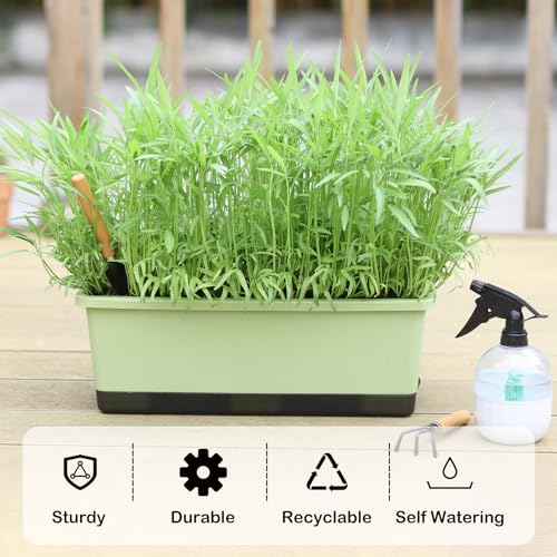 Window Box Planter 8 Pcs (8 Count)