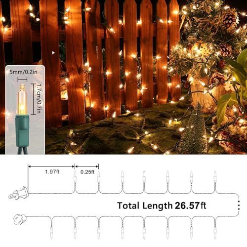 Clear Christmas Lights (25 Foot)