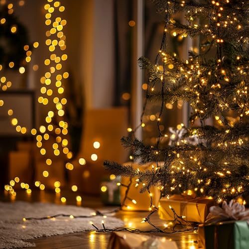 Christmas Lights (21 Foot)