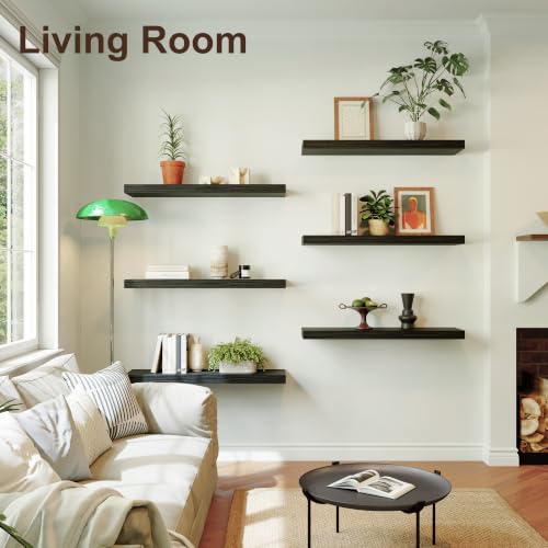 Floating Shelf (2 Count)