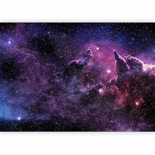 Premium Wall Mural Wallpaper (8 Count)