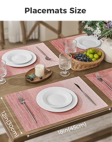 Gradient Pink Woven Placemats Set of 6 (6 Count)