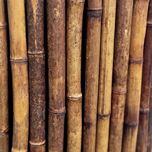 Caramel Brown Bamboo Fencing Decorative Rolled Fence Panel 3 ft H x 8 ft L (24 Sq Ft)