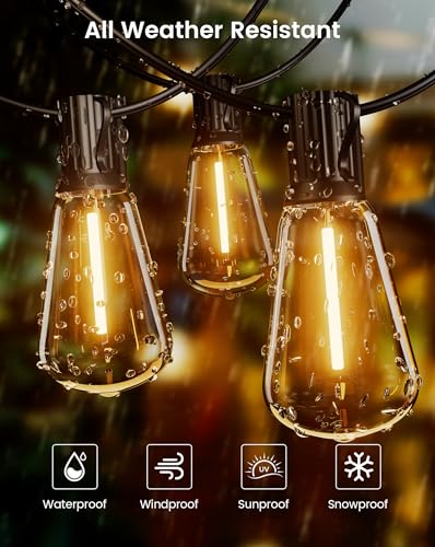 Outdoor String Lights 100FT (100 Foot)