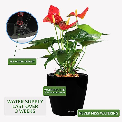 15x14 Self Watering Planter with Wheels