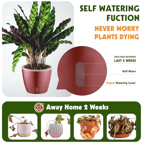 Self Watering Pots for Indoor Plants (6 Count)