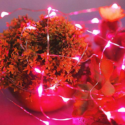 Led Fairy Lights Battery Operated (16 Foot)