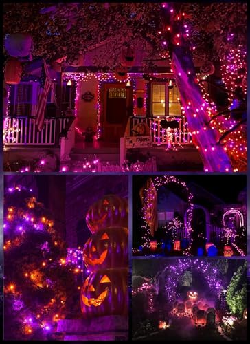 Christmas Lights Outdoor