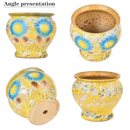 9 Inch Hand Painted Ceramic Succulent Plant Pots