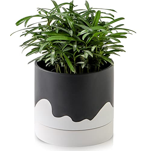 Ceramic Plant Pot