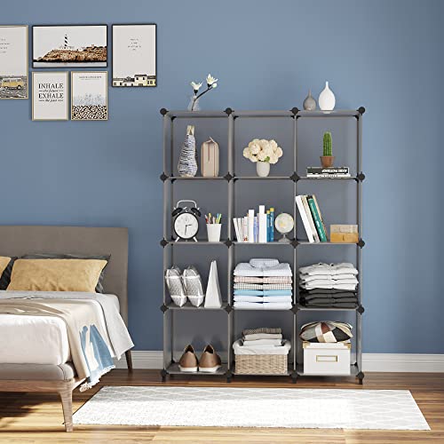12 Cube Storage Organizer (12 Count)