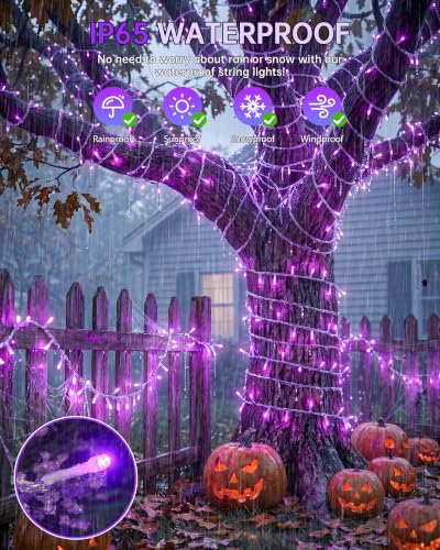 33FT 100 LED Purple Halloween Christmas Fairy Twinkle String Lights (33 Foot)