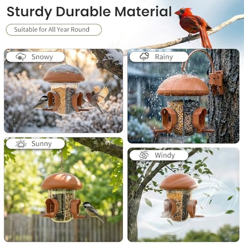 LONA Hanging Bird Feeder with 3 Compartments