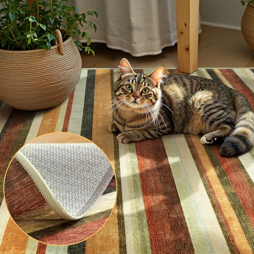 2x3 Striped Rug for Entryway Washable Kitchen Rug (6 Sq Ft)