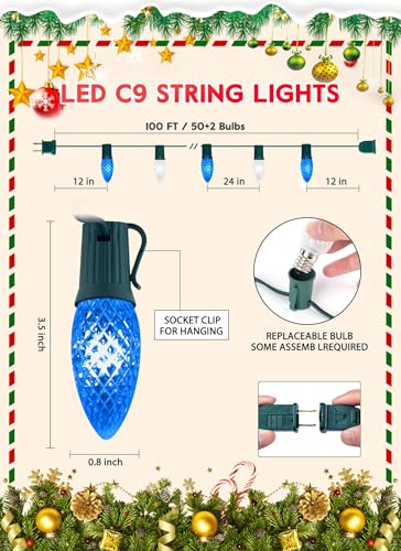 Outdoor Christmas Lights (50 Count)