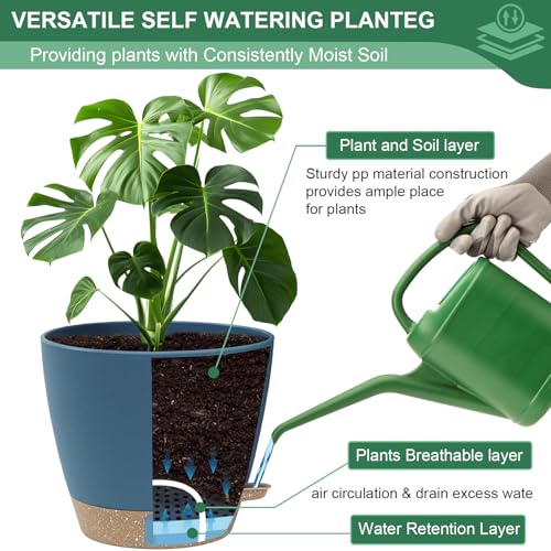 2 Pack 10 inch Plant Pots (2 Count)