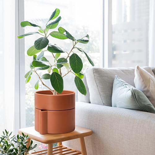 8 Inch Self Watering Planter Pot with Terracotta Insert