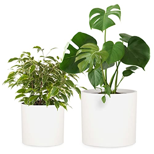 Large Planter for Indoor or Outdoor