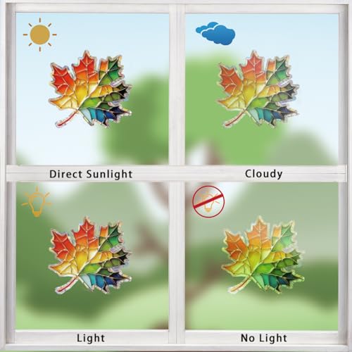 14pcs Window Decals for Bird Strikes