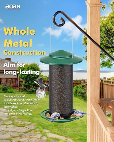 Bird Feeders for Outdoors