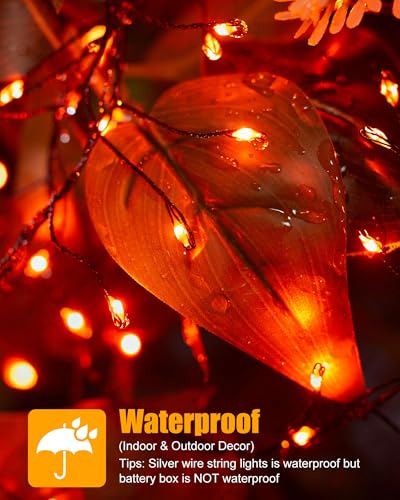 Fairy Lights Battery Operated