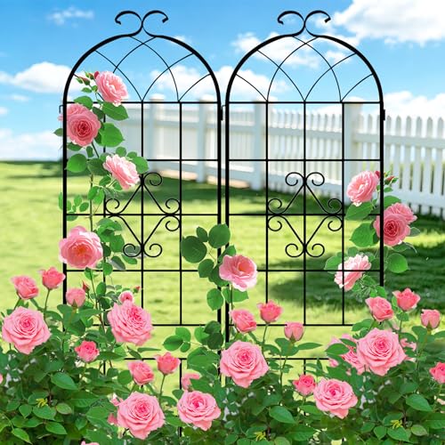 78.4 x 40in Rustic Iron Arch Decoration Garden Trellis with Black Metal Coating (2 Count)