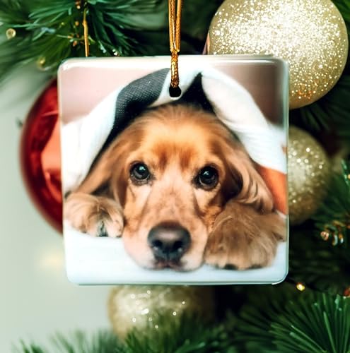 Personalized Christmas Ornament