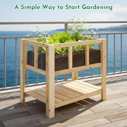 Raised Garden Bed with Transparent Acrylic Side Panels