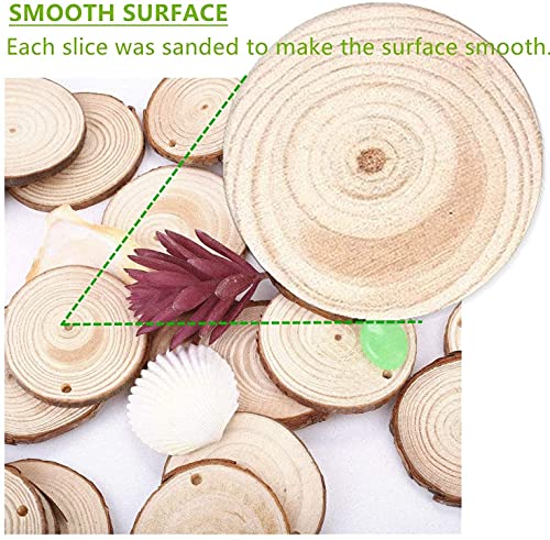 Natural Wood Slices TICIOSH Craft Unfinished Wood kit Predrilled with Hole Wooden Circles for DIY Crafts Wedding Decorations Christmas Ornaments Arts Wood Slices (50 Count)