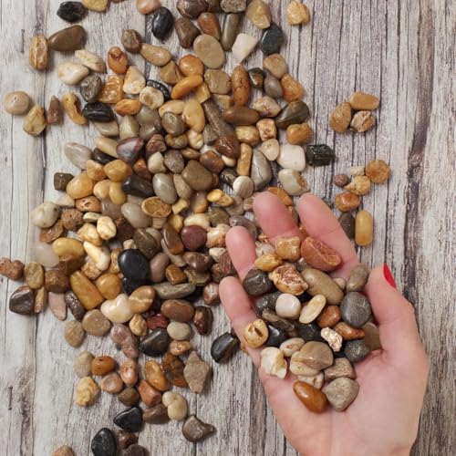 River Rocks Aquarium Gravel (30 Count (pounds))