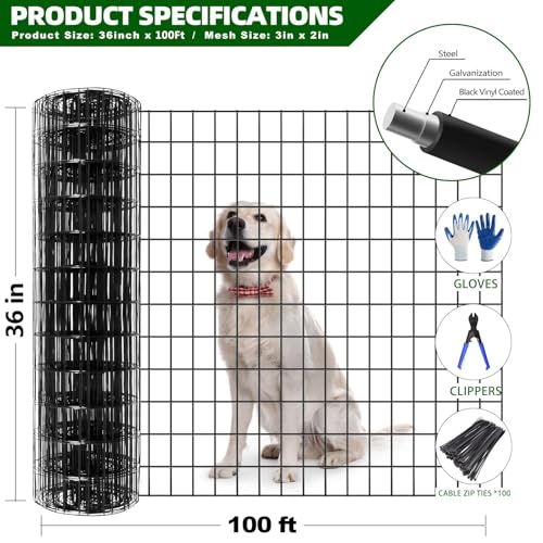 Welded Wire Fence