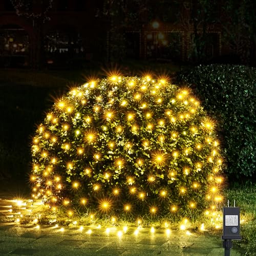 Outdoor Christmas Lights