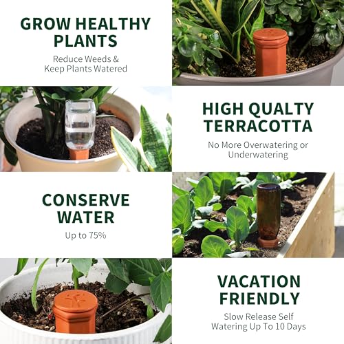 Large Terracotta Watering Spikes with Lids (4 Count)