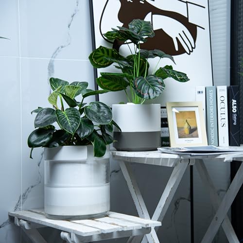 8 Inch Self Watering Planter