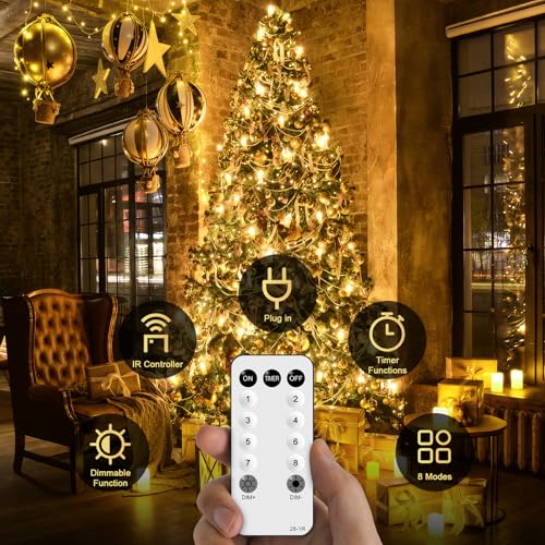 Outdoor Christmas Lights (315 Foot)