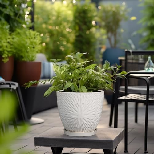 8 Inch Ceramic Plant Pot with Drainage Hole and Saucer
