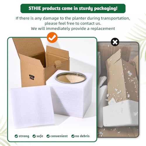Ceramic Plant Pots with Saucers (3 Count)