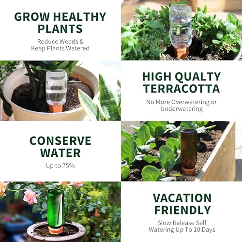 Large Terracotta Plant Watering Spikes (6 Count)