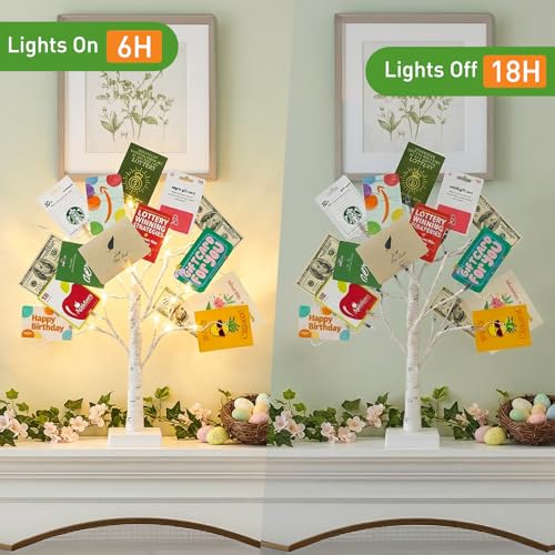 Money Tree Gift Holder (2 Count)
