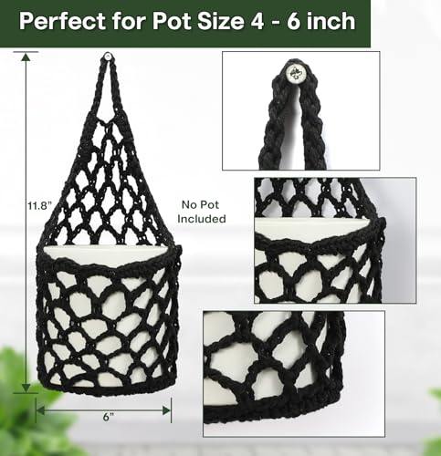 2PK Wall Planters for Indoor Plants (2 Count)