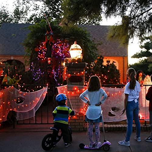 Purple and Orange Halloween Fairy String Lights (20 Foot)