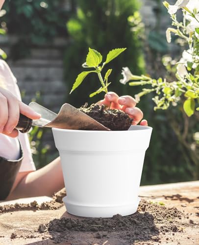 6 7.5 Inch Plastic Planters with Drainage Holes and Trays (10 Count)
